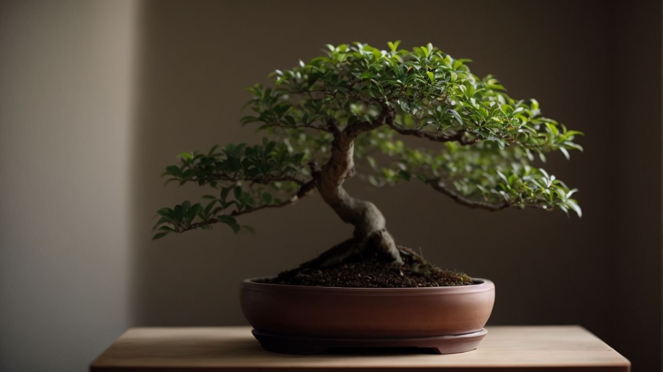 bonsai mastery indoors